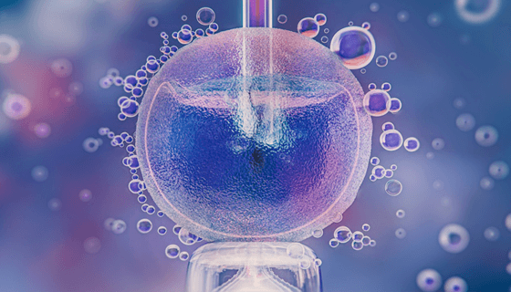 Advanced Embryology Techniques