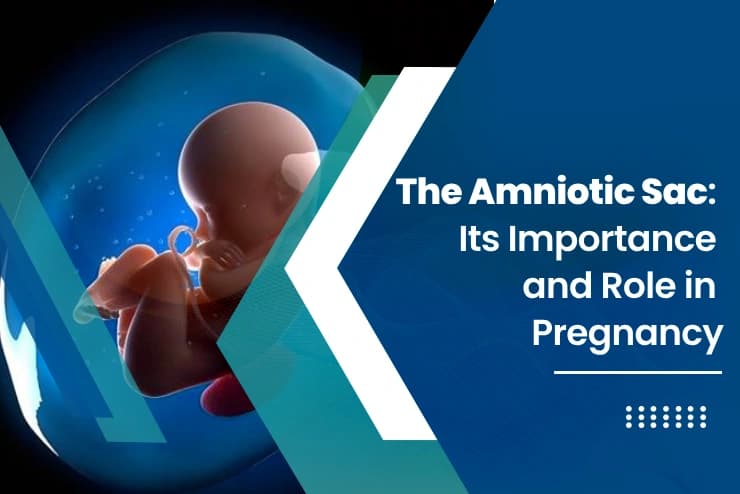 Importance of Amniotic Sac in Pregnancy