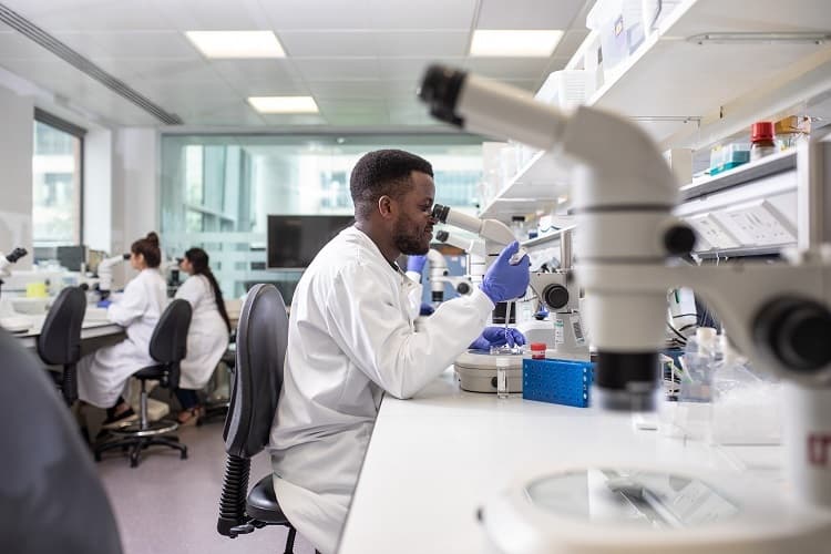 A look into the dynamic world of embryology careers