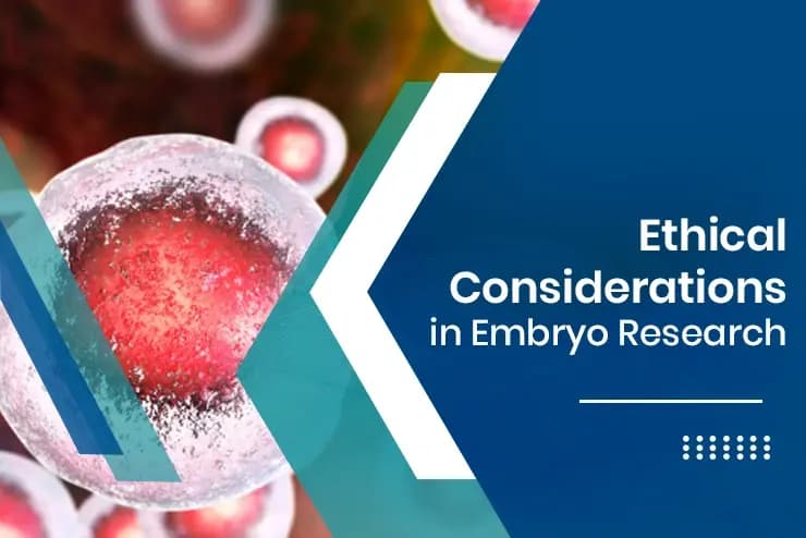 A look into the dynamic world of embryology careers