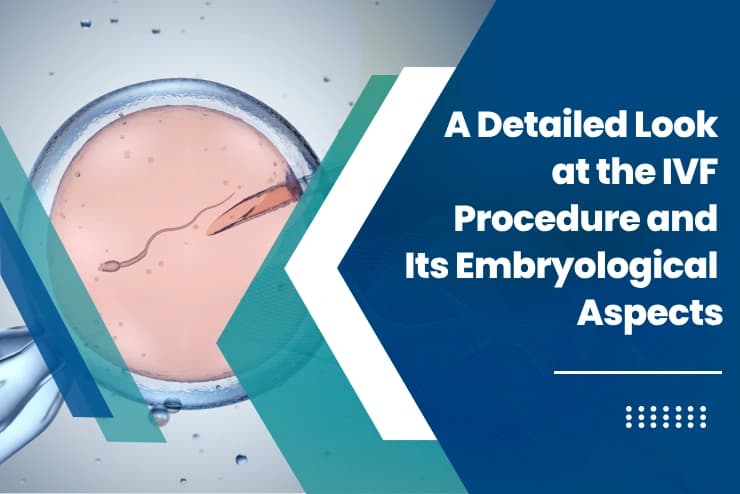 IVF Procedure & Its Embryology Aspects