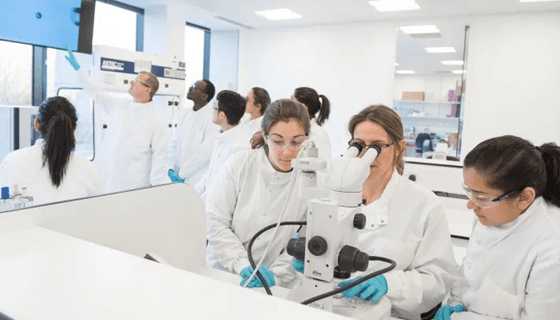 Masters of Clinical Embryology in India