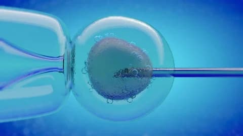 Nurturing Hope with Transfer IVF