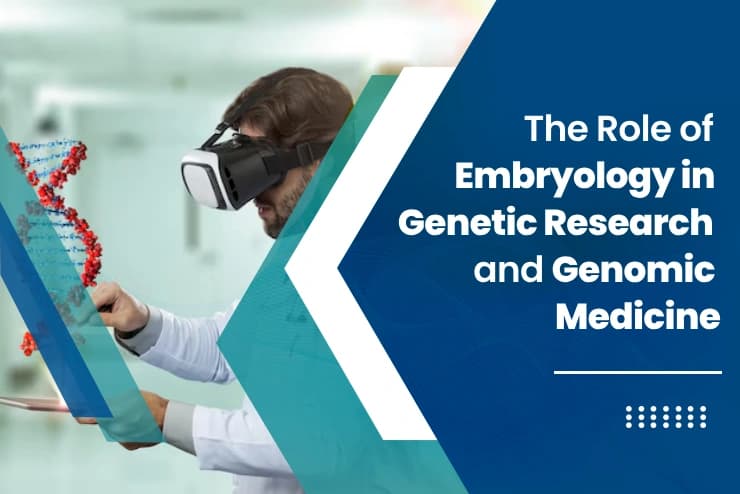 Role of Embryology in Genetic Research & Medicine