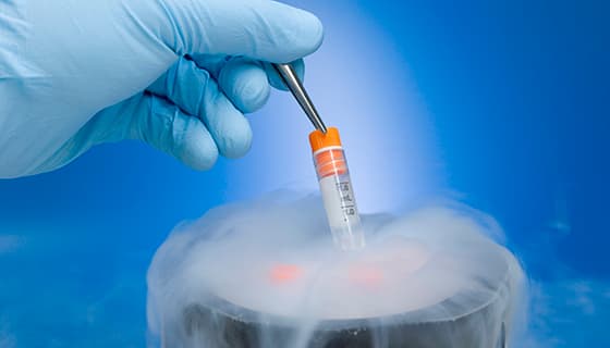 The Science of Embryo Freezing