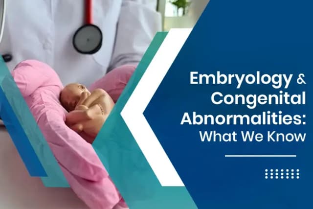 Understanding Embryology and Congenital Abnormalities