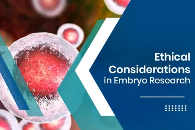 Ethical Considerations in Embryo Research