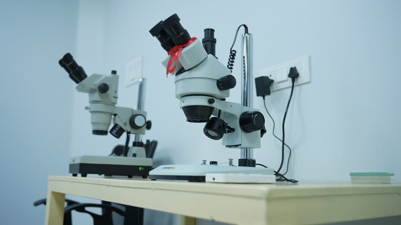 State-of-the-Art Facilities